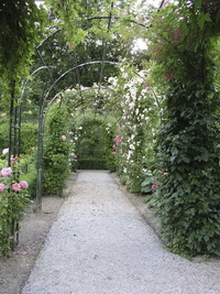 img 30a Opdrachten en aankoop